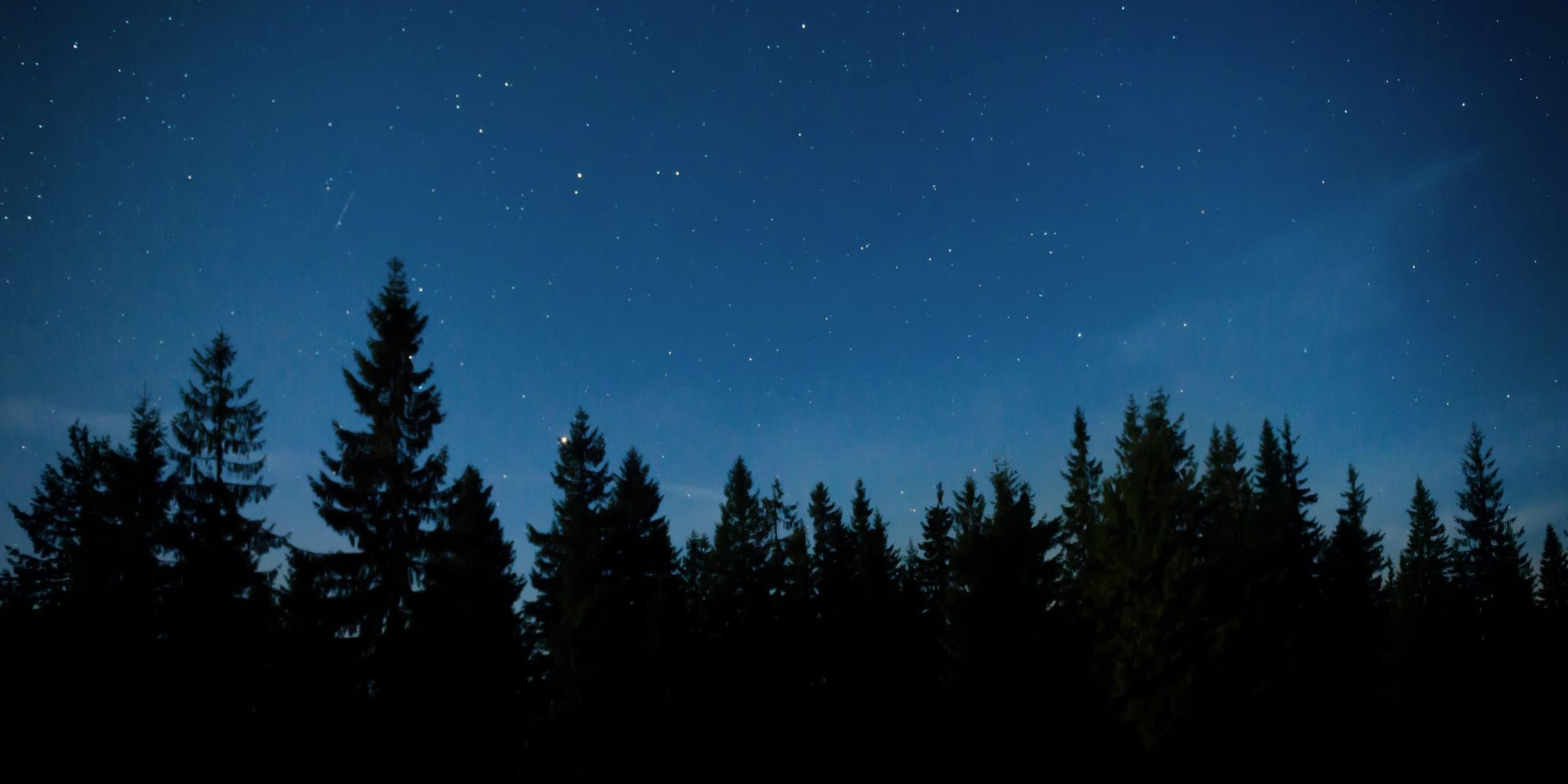 10 Night Run i Sverige