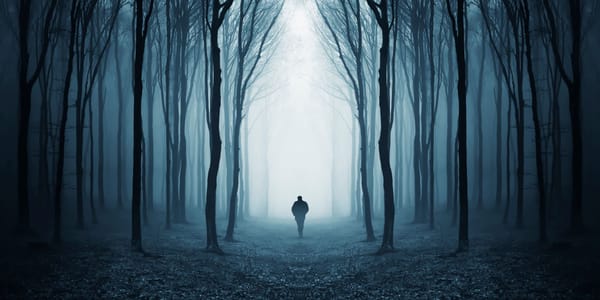 Man som går i skogen